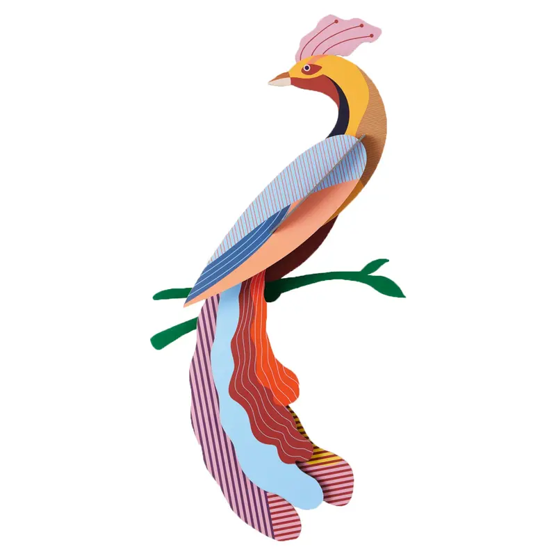 Studio Roof Paradise Bird Cardboard Model - Nusa 1