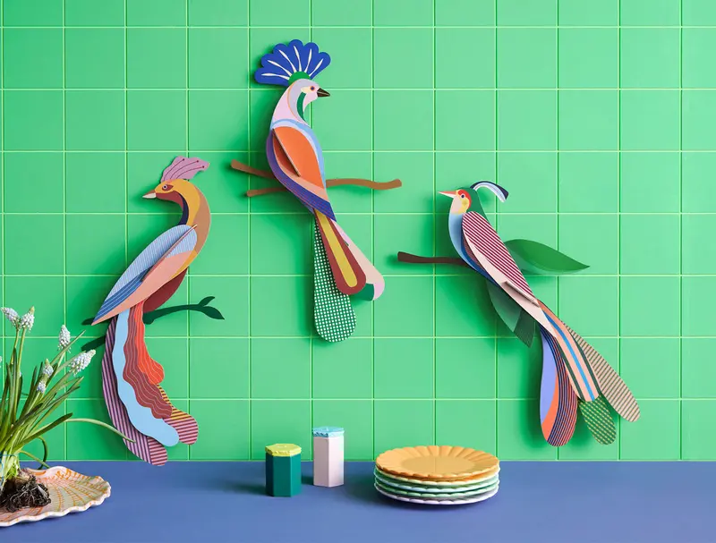 Studio Roof Paradise Bird Cardboard Model - Nusa 2
