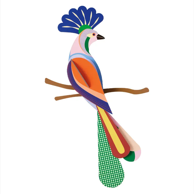 Studio Roof Paradise Bird Cardboard Model - Tinjil 1