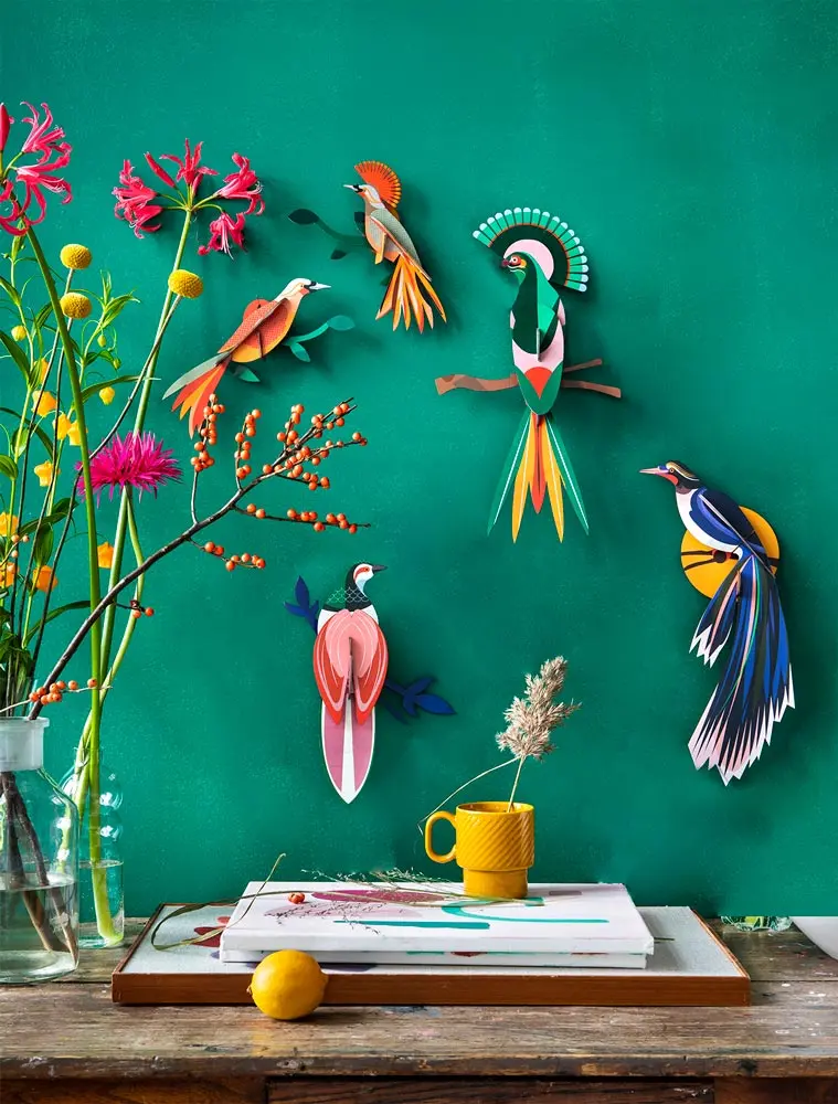 Studio Roof Paradise Bird - Gili 2