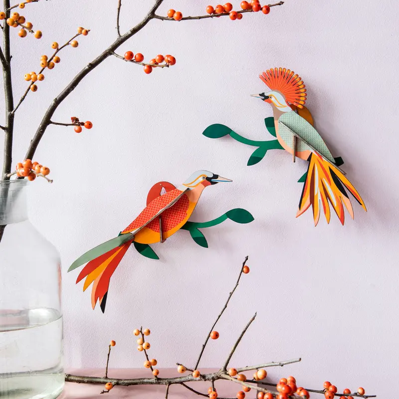 Studio Roof Paradise Bird - Obi 2