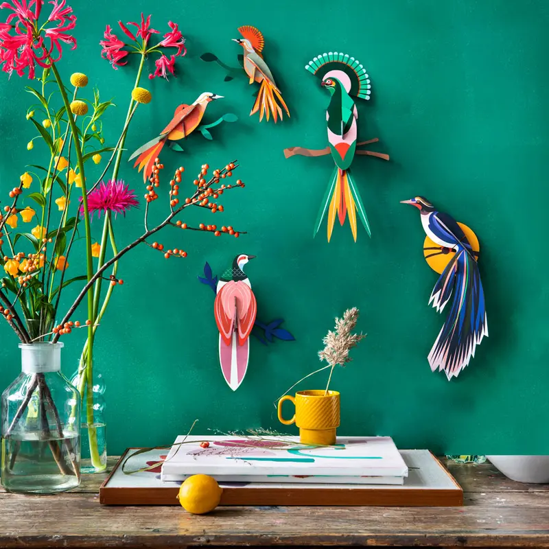 Studio Roof Paradise Bird - Rani 2