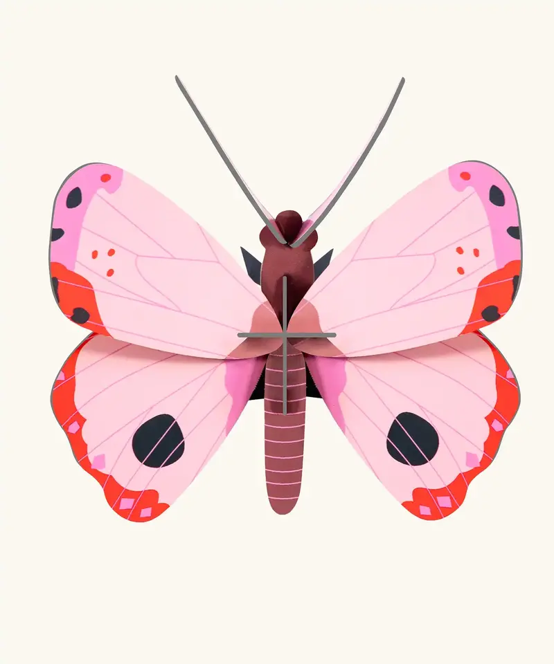 Studio Roof Rosora Butterfly 3D Cardboard Wall Art 1