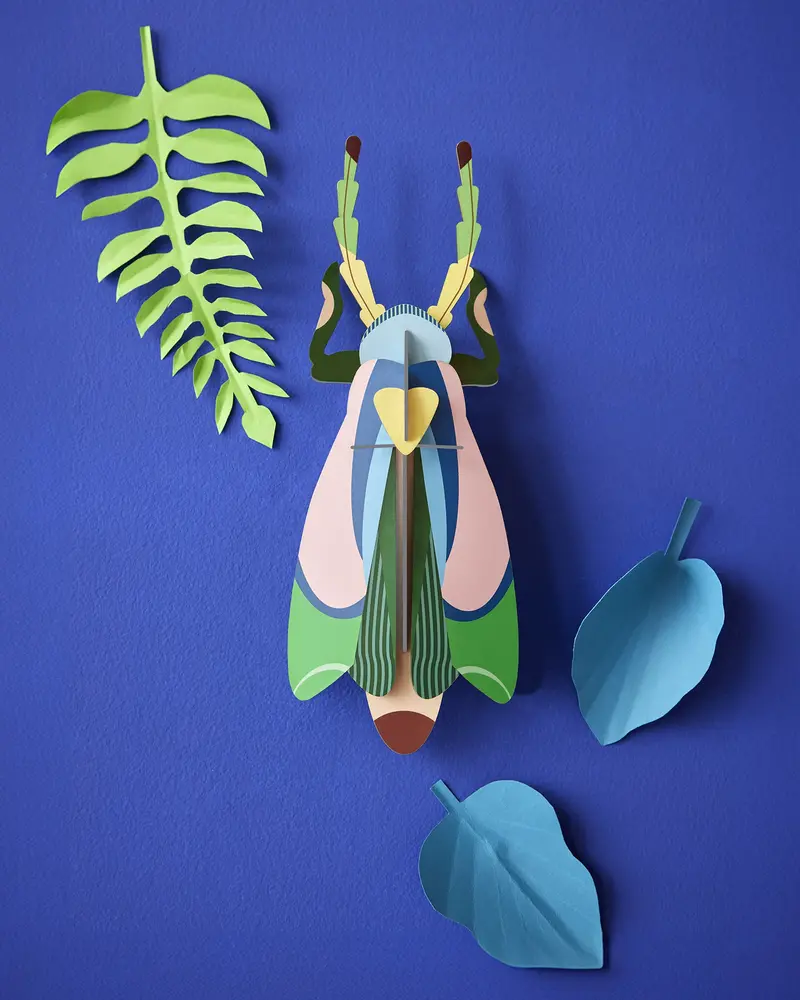 Studio Roof Sakura Beetle Cardboard Model 2