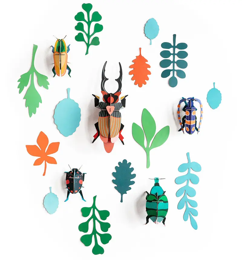 Studio Roof Wall Of Curiosities - Beetle Antiquary 1