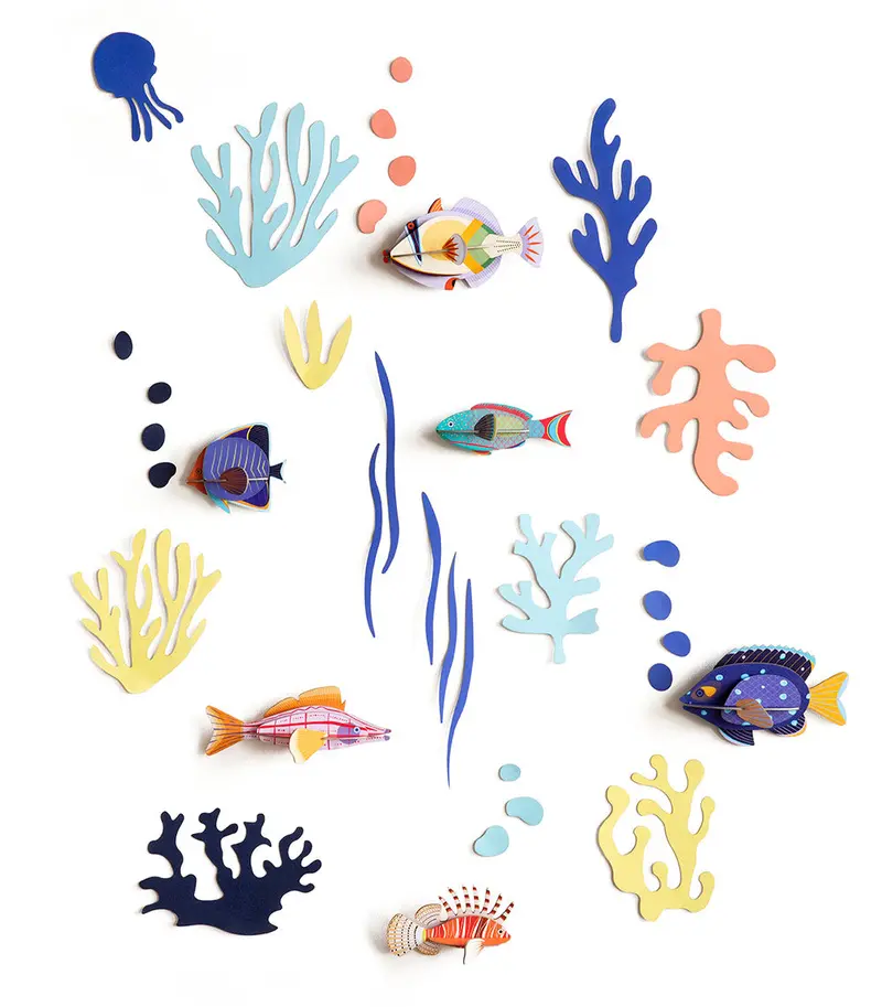 Studio Roof Wall Of Curiosities - Fish Hobbyist 1