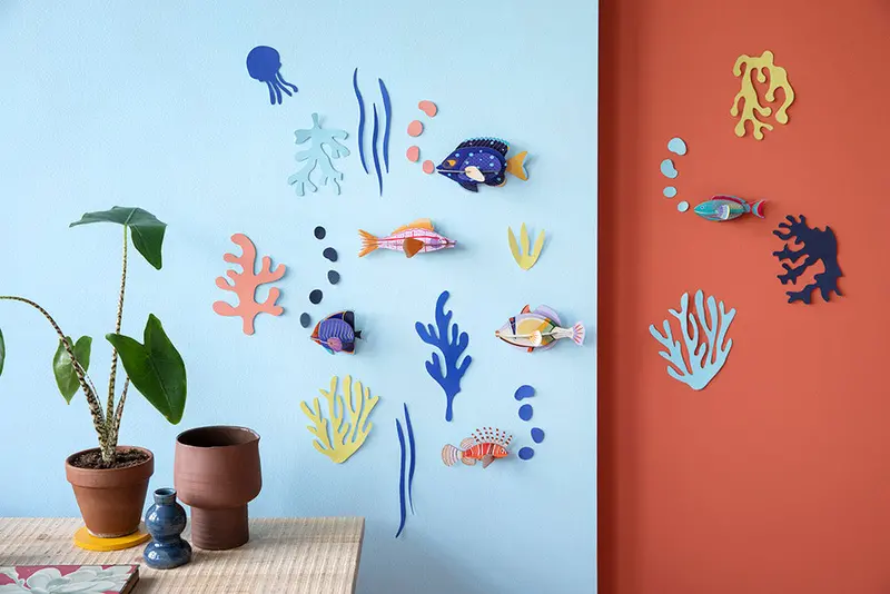 Studio Roof Wall Of Curiosities - Fish Hobbyist 2