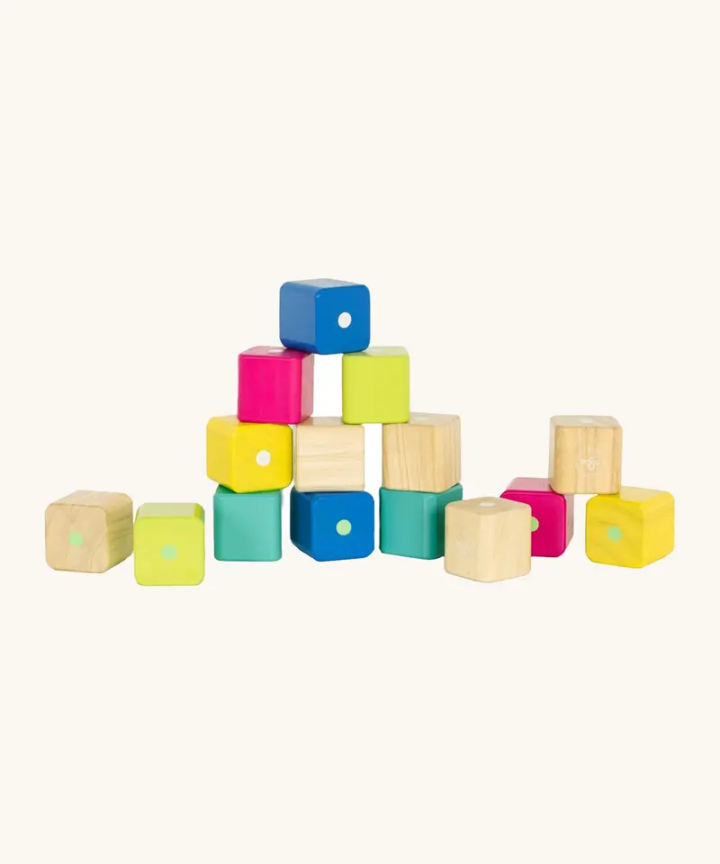 Tegu Baby's First Magnetic Blocks - 15 Piece 1