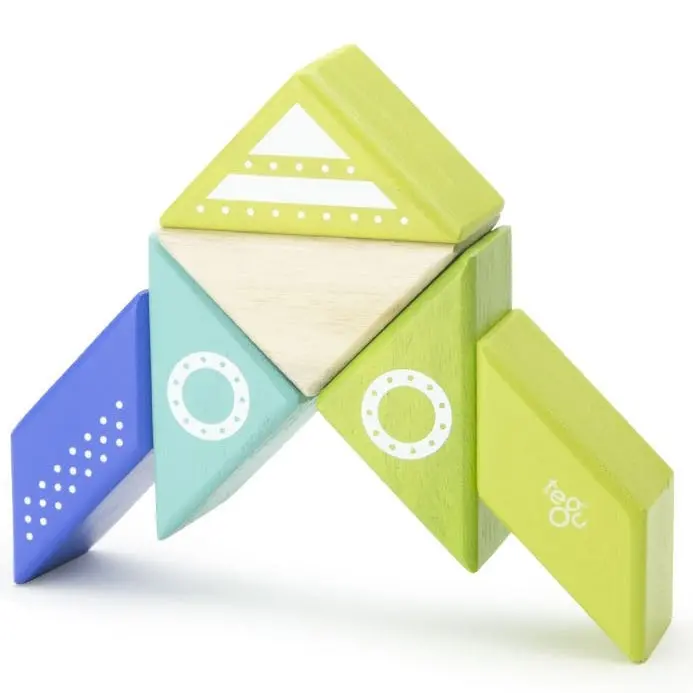 Tegu Spaceship Travel Pal 1