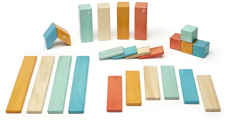 Tegu Sunset 24 Piece Set 2