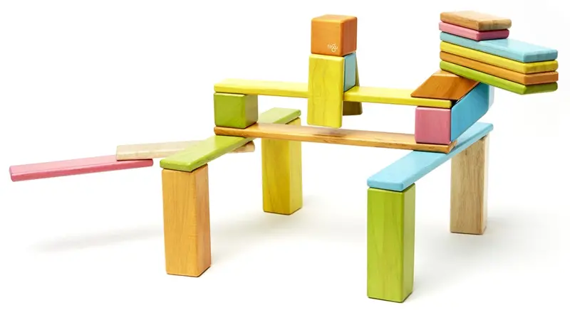 Tegu Tints 24 Piece Set 1