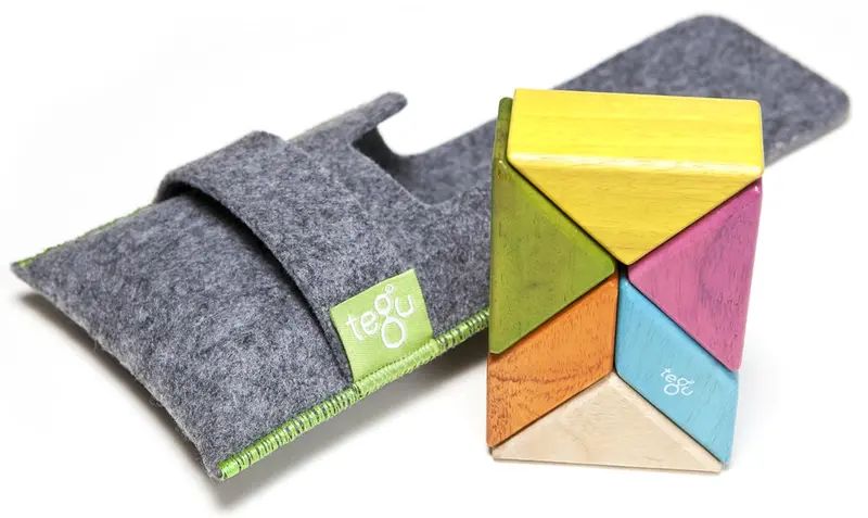 Tegu Tints 6 Piece Pocket Pouch 1