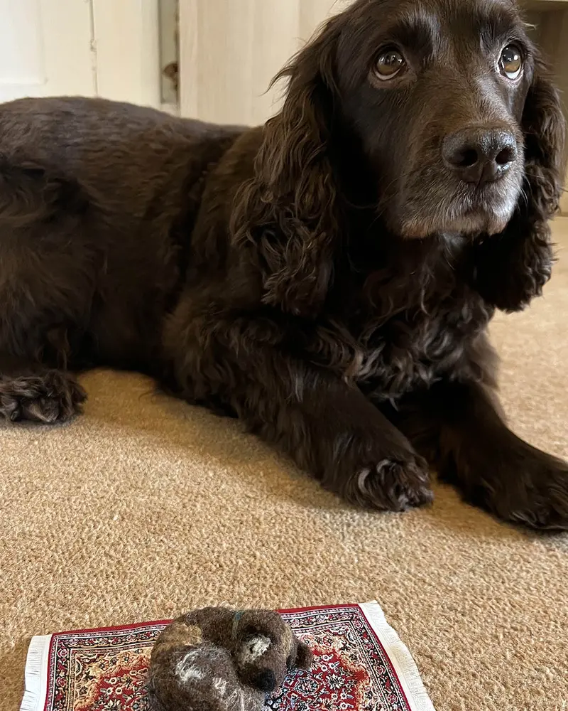 The Makerss - Little Dog On A Rug Needle Felt Kit 2