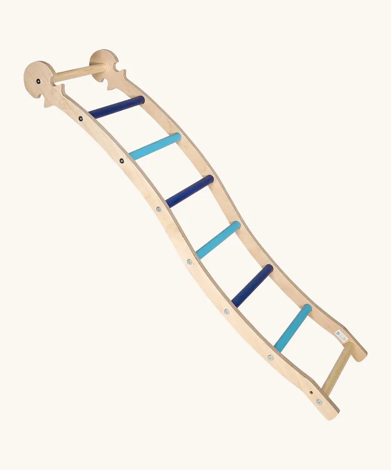 Triclimb Blue Wibli Ladder V2 1