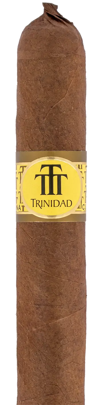 Trinidad Fundadores Cuban Cigar - Single 1