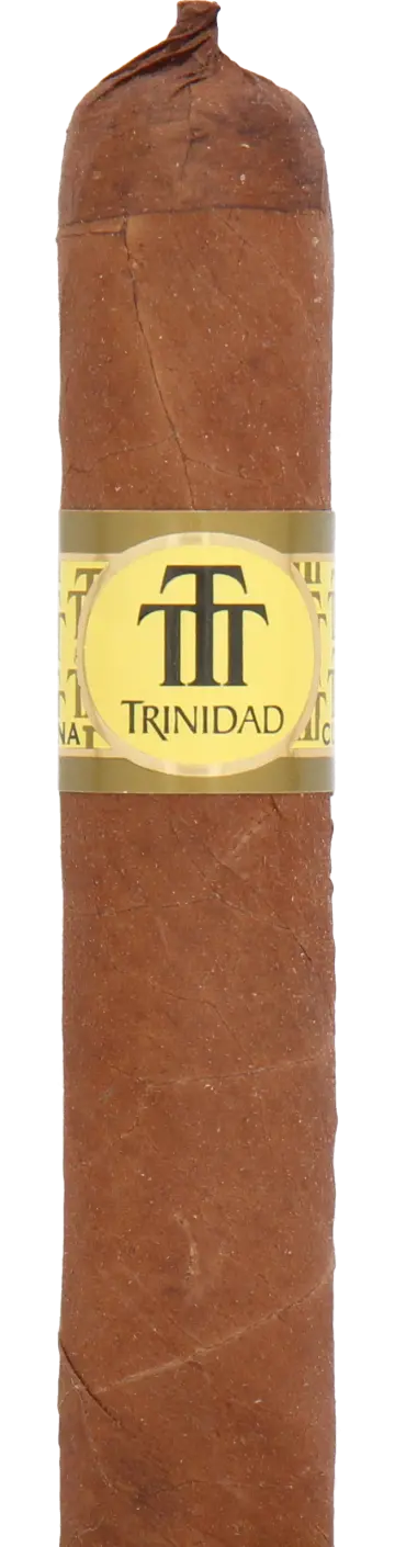Trinidad Reyes Cuban Cigar - Single 1