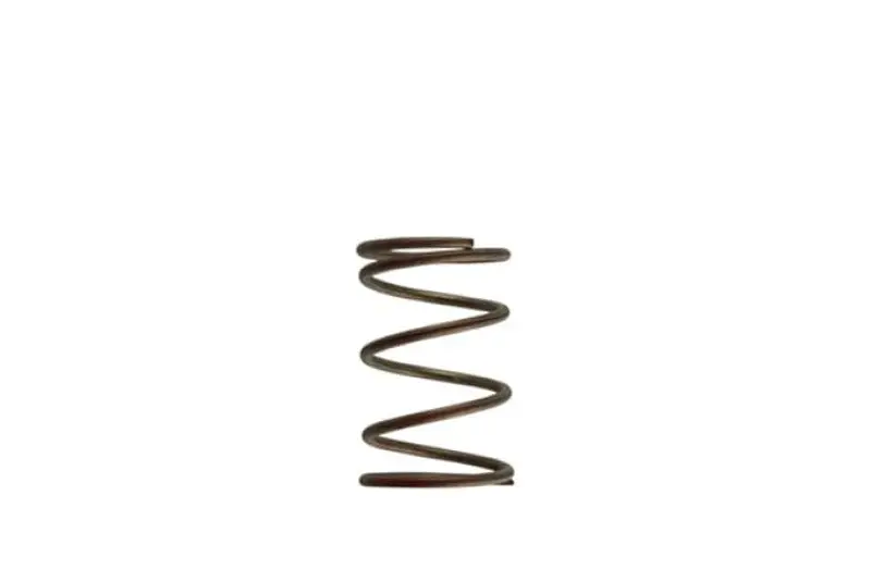 Turbosmart Gen-V Wg38/40 14Psi Red Outer Spring 1