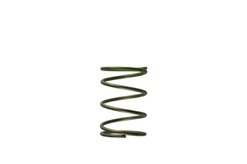 Turbosmart Gen-V Wg45/50 7Psi Green Middle Spring 1