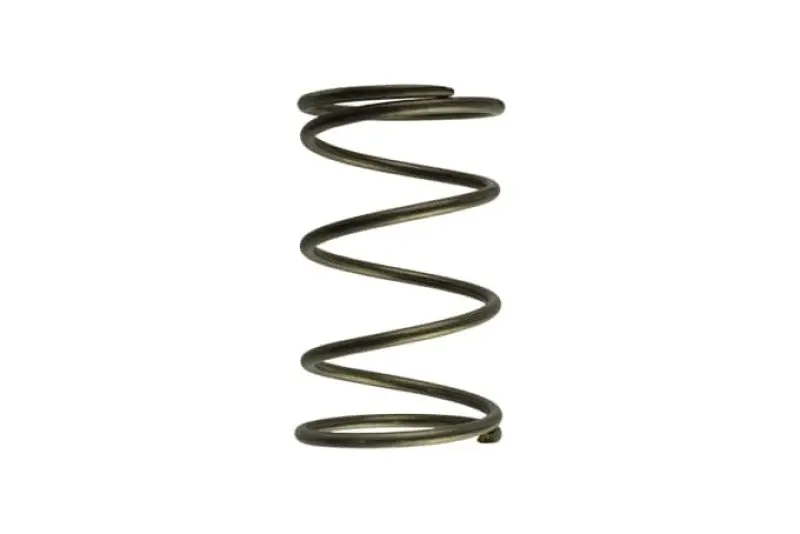 Turbosmart Gen-V Wg60 14Psi Brown Outer Spring 1