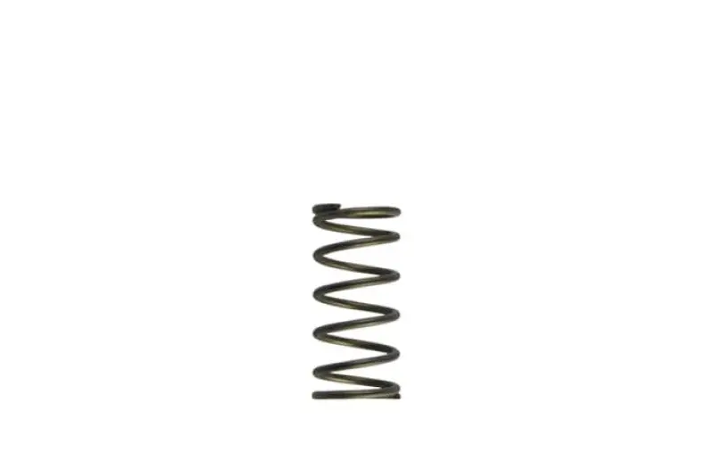 Turbosmart Gen-V Wg60 5Psi Purple Inner Spring 1