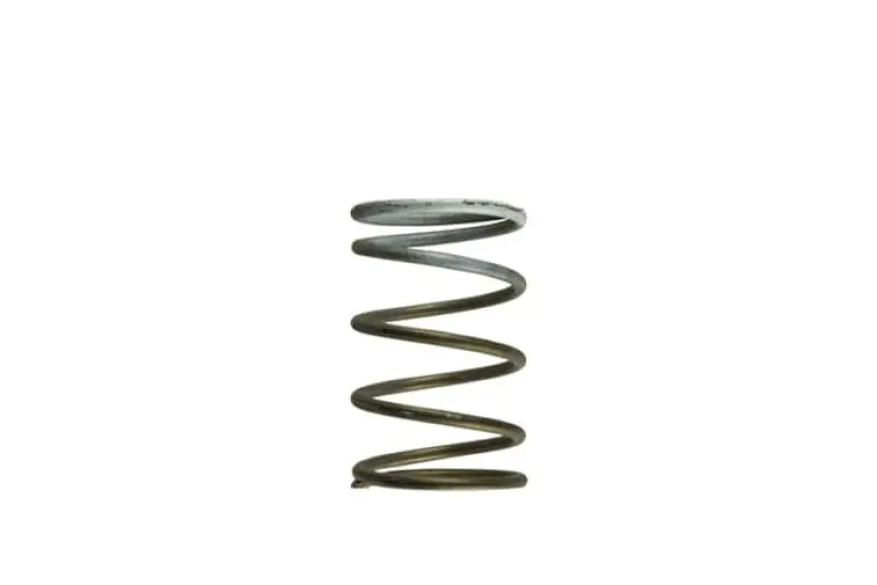 Turbosmart Gen-V Wg60 7Psi White Middle Spring 1