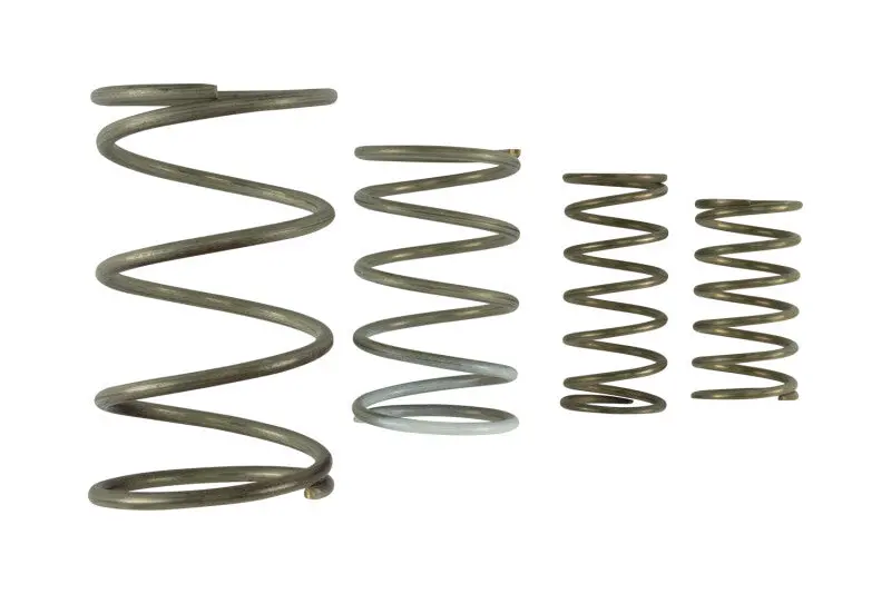 Turbosmart Gen V Wg60 Spring Replacement Kit 1