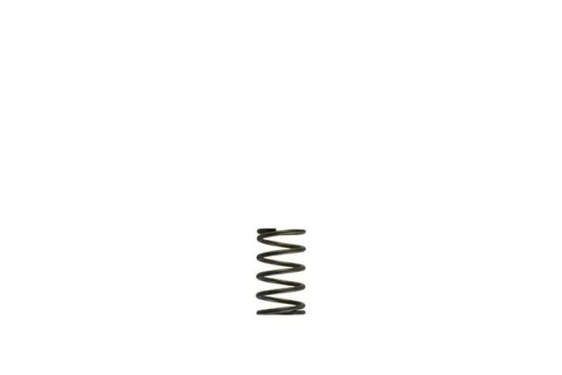 Turbosmart Wg38/40 5Psi Grey Inner Spring 1