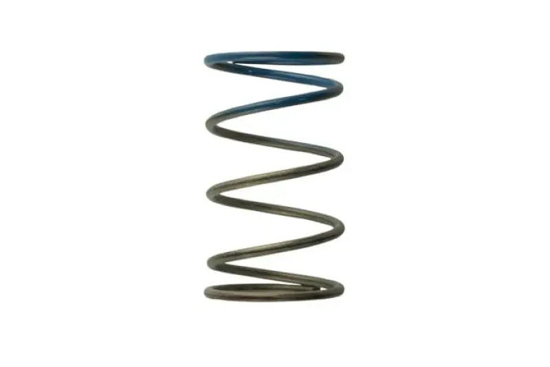 Turbosmart Wg40 10Psi Outer Spring Brown/Blue 2