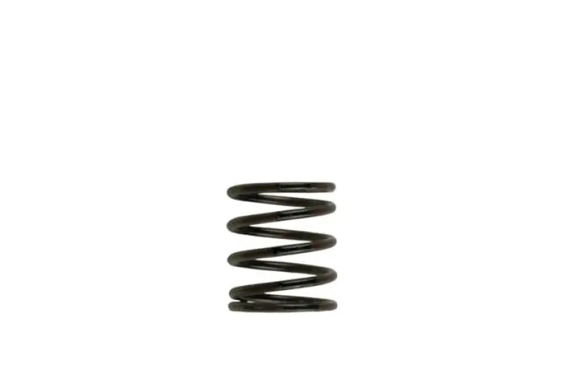 Turbosmart Wg40 3Psi Inner Spring Brown/Black 2