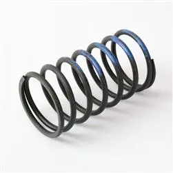 Turbosmart Wg40 7Psi Middle Spring Brown/Purple 1