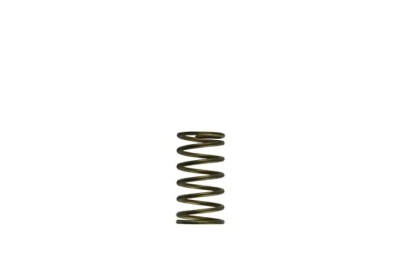 Turbosmart Wg60 Gen-V 3Psi Inner Spring 1