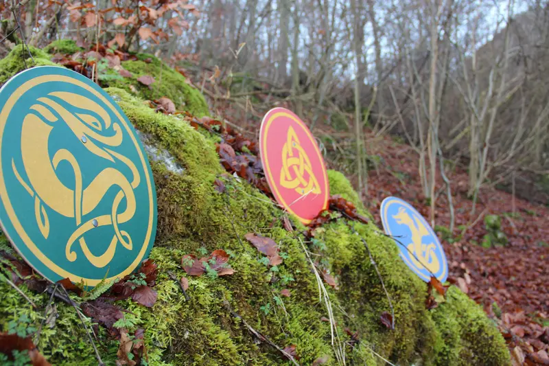 Vah Celtic Dragur Wooden Shield 2