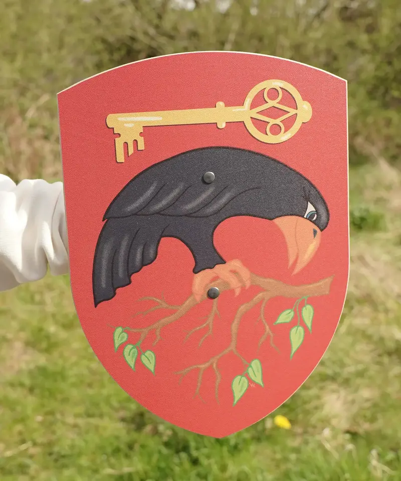 Vah Corvus Curved Shield 1