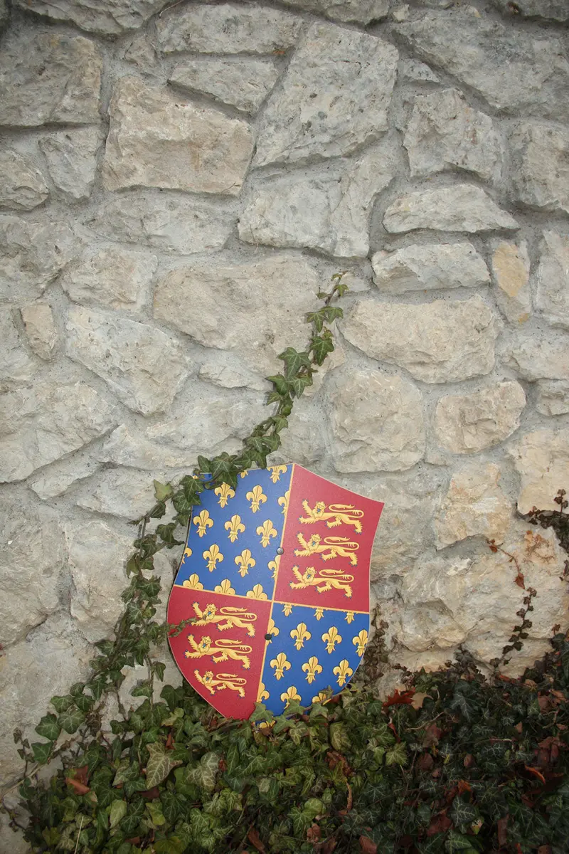 Vah Edward Wooden Shield 2