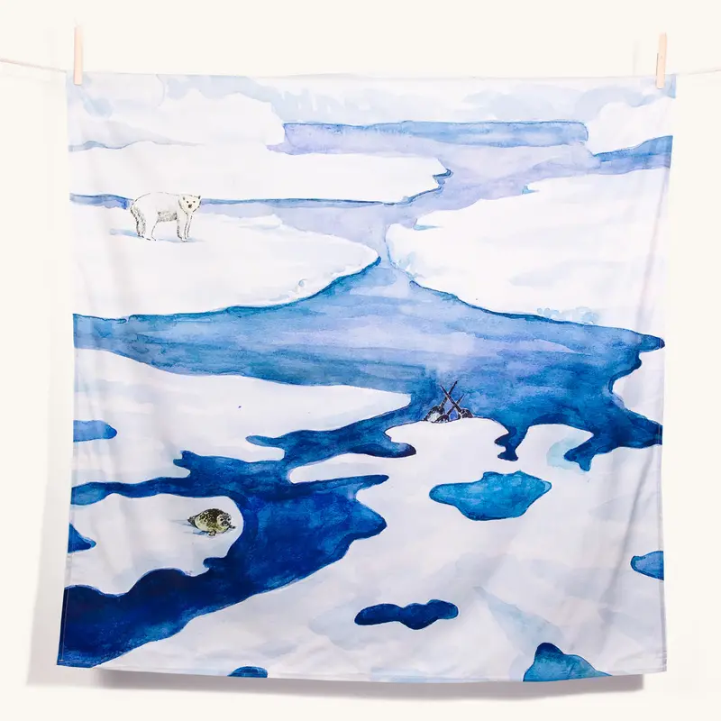 Wonderie Play Cloth - The Frozen Land 1