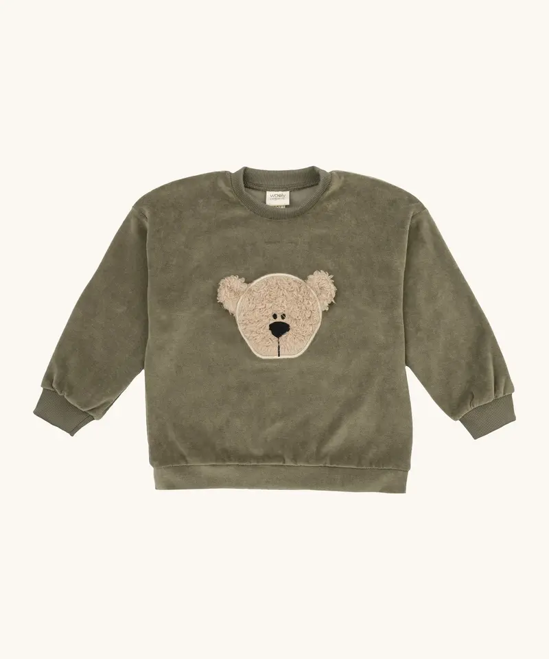 Wooly Organic Teddy Kids Sweater - Tea Leaf 1