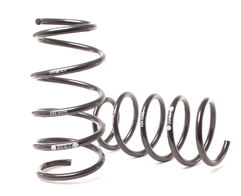 H&R 03-06 Bmw 760I/760Li E65 Sport Spring (W/ Self Leveling & Edc) 1