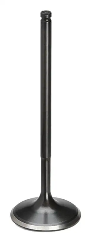 Supertech Nitrided Intake Valves For Bmw M42/S42 – Triple-Groove Design, Black Finish (Set Of 8) 1